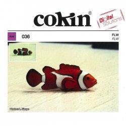 Cokin Filtro Degradê FLD - X139 - XL