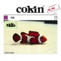 Cokin Filtro Degradê FLD - X139 - XL