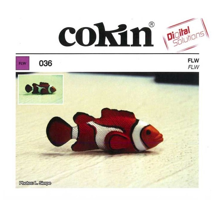 Cokin Filtro Degradê FLD - X139 - XL
