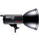 PROFILITE 250 // 250 Ws Studio Light