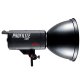 PROFILITE 500 // 500 Ws Studio Light