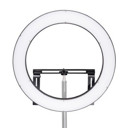 Walimex Pro Luz Anelar 500 LED - Cor ajustável