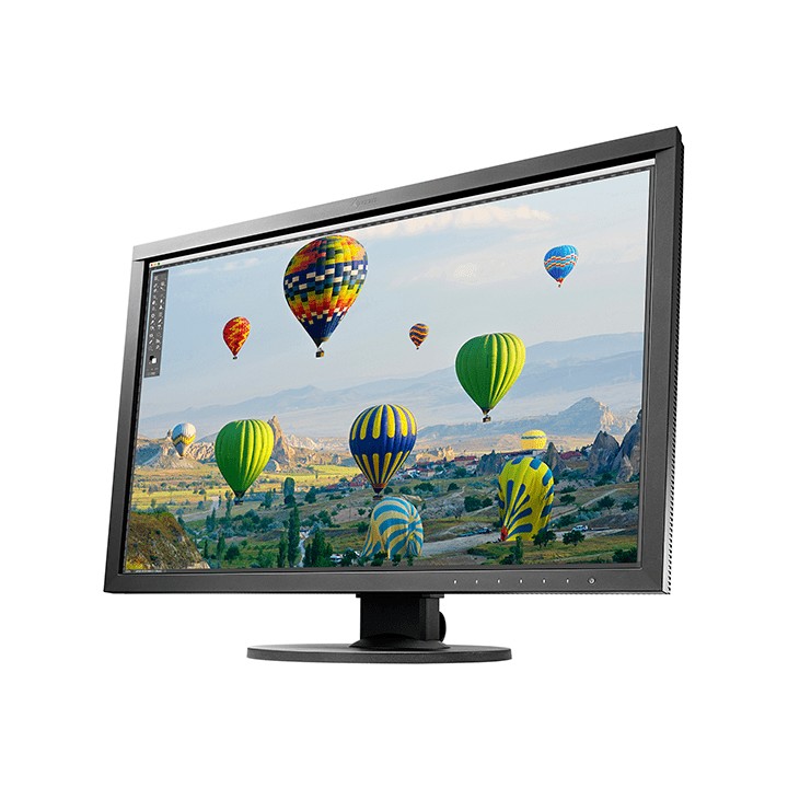 Eizo CS2410 ColorEdge