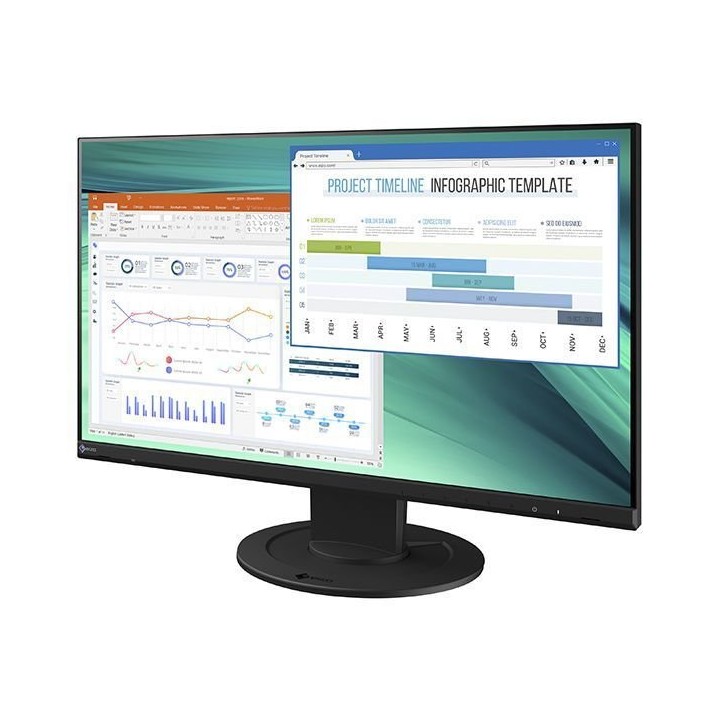 Eizo FlexScan EV2460