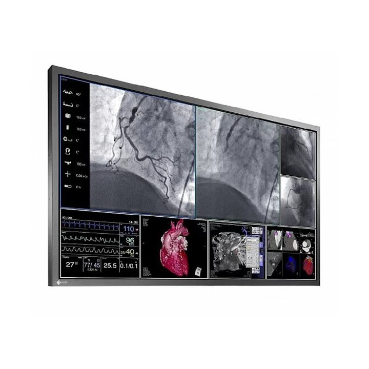 RadiForce LS580W