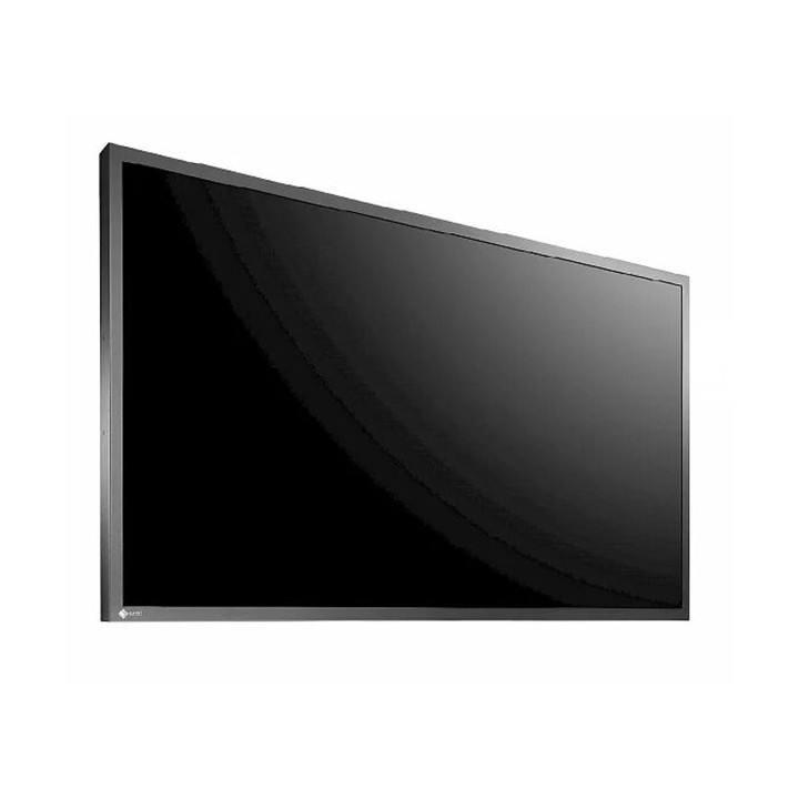 RadiForce LS580W