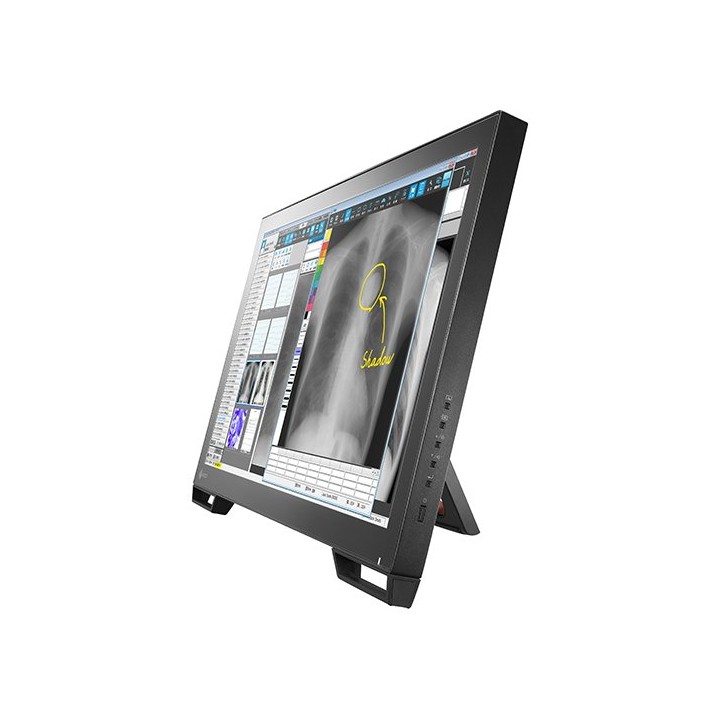 RadiForce MS236WT-A