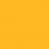 Marigold BD