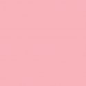 Fundo Pastel Pink- BD