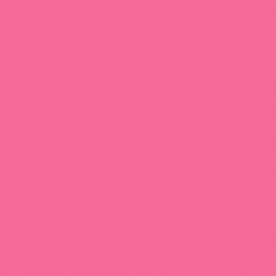 Fundo Hot Pink BD