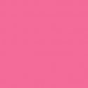 Fundo Hot Pink BD