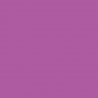 Boysenberry-BD