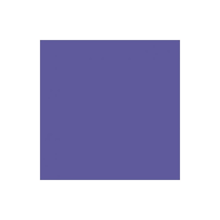 Purple- BD