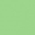 Fundo Spring Green BD