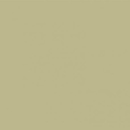 Pistachio BD