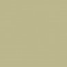 Pistachio BD