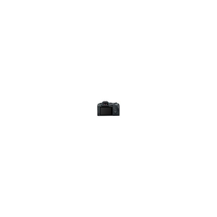 CANON EOS R8 - Corpo