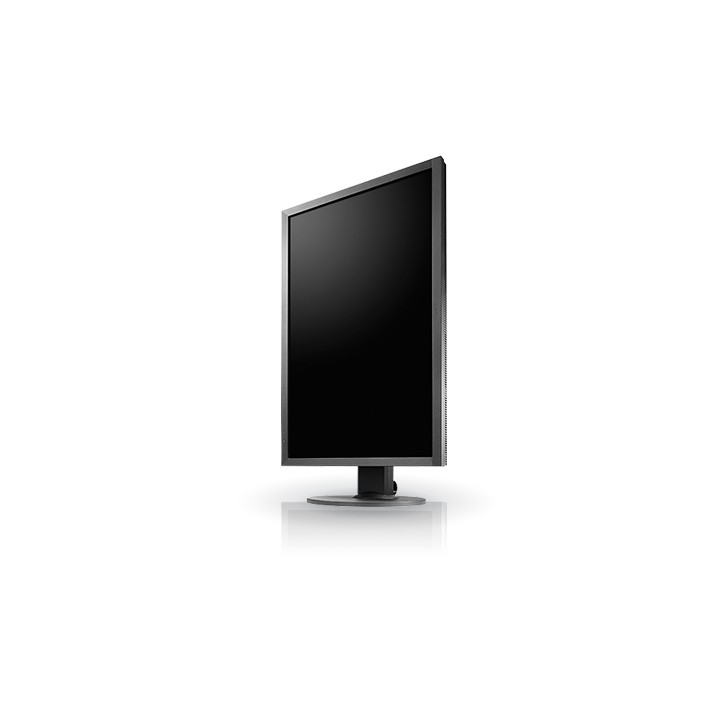 EIZO ColorEdge CS2420