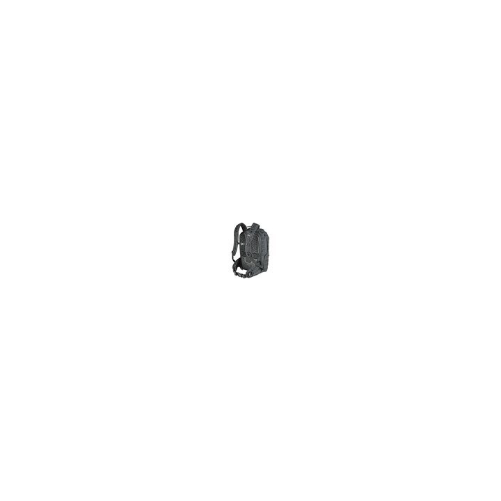 LOWEPRO ProTactic BP 450 AW II