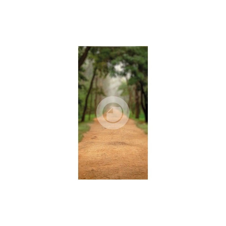 Background 7186
