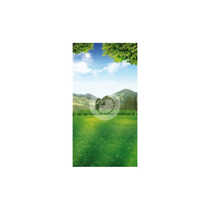 Background 7221