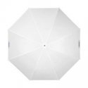 Profoto Umbrella Shallow Translucent M