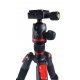 Leofoto Kit tripé MT-224B e rótula BH-30